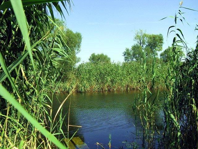 Кримка з panoramio.com - Кримка