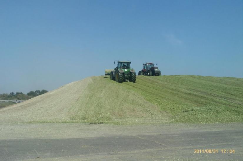 Великий Крупіль з panoramio.com - Великий Крупіль