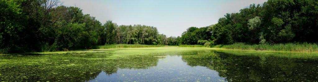 Коропове з panoramio.com - Коропово