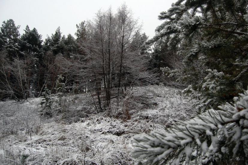 Воронове з panoramio.com - Воронове