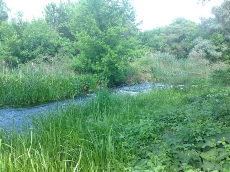 Плетенівка з panoramio.com - Плетеновка