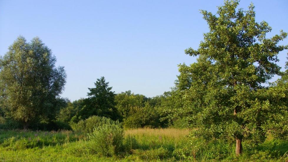 Хорішки з panoramio.com - Хорішки