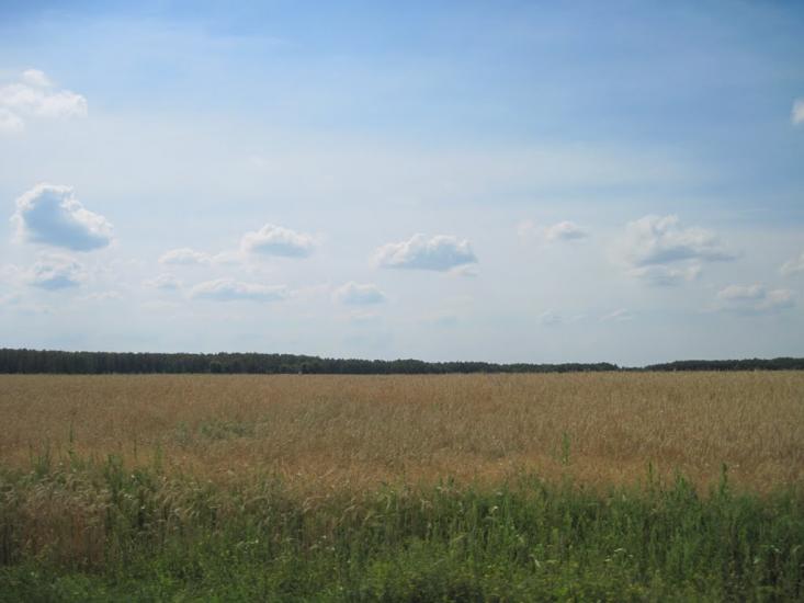 Дружба з panoramio.com - Дружба