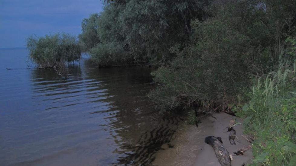 Леськи з panoramio.com - Леськи