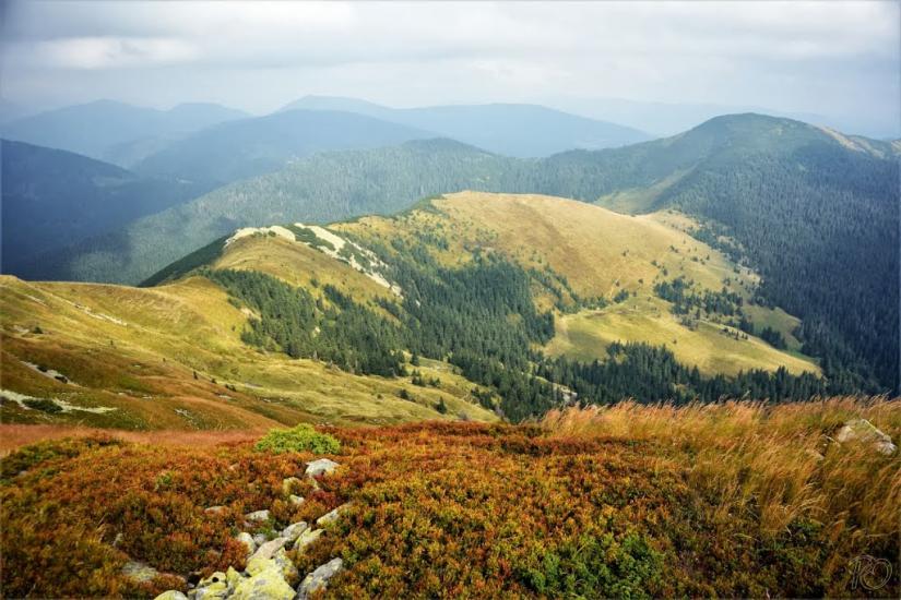 Заверхня Кичера з panoramio.com - Заверхня Кичера
