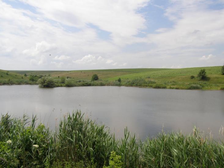 Петро-Марківка з panoramio.com - Петро-Марківка