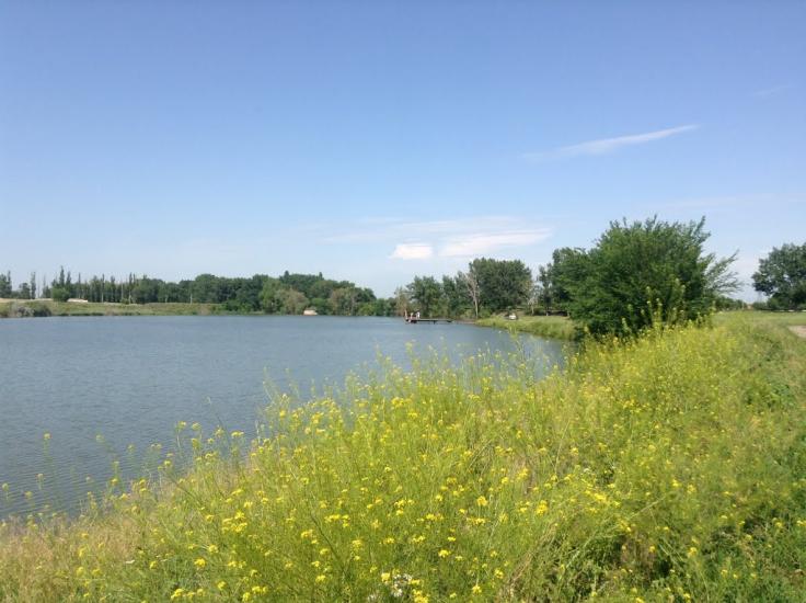Перещепине з panoramio.com - Перещепино