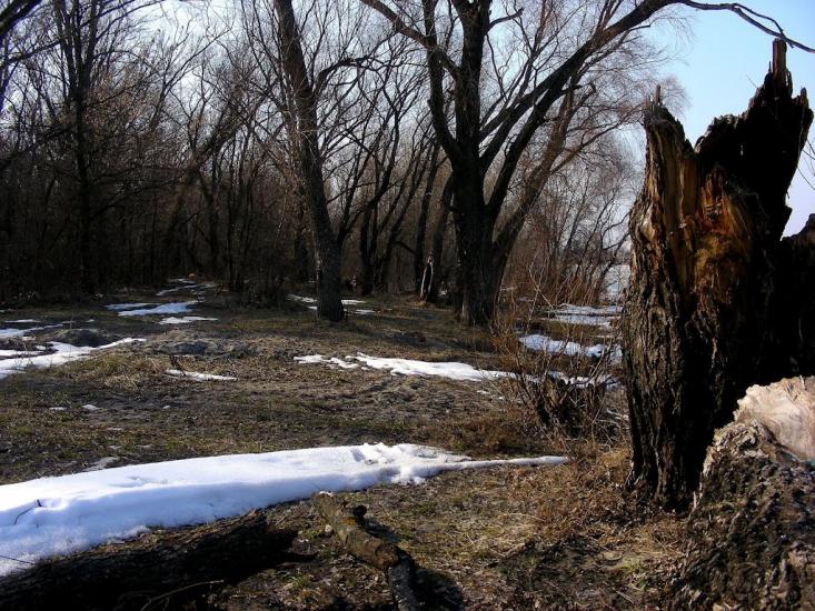 Осещина з panoramio.com - Осещина