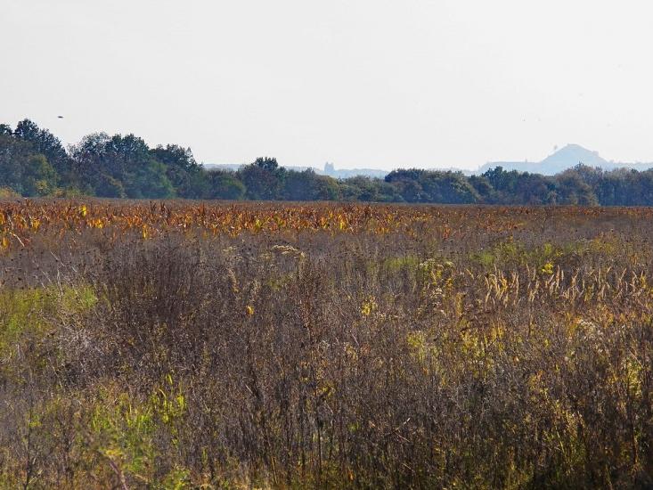 Кринична з panoramio.com - Кринична