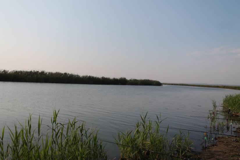 Миколаївка з panoramio.com - Миколаївка