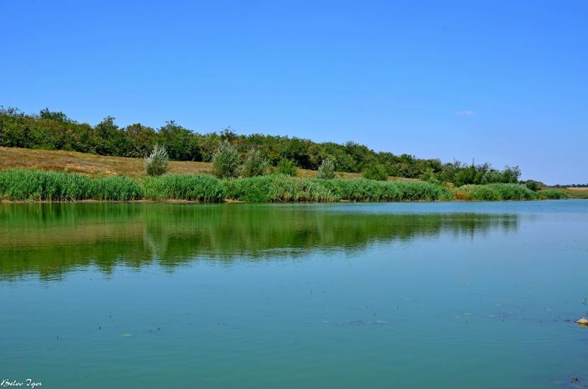 Комінтернівське з panoramio.com - Kominternivske