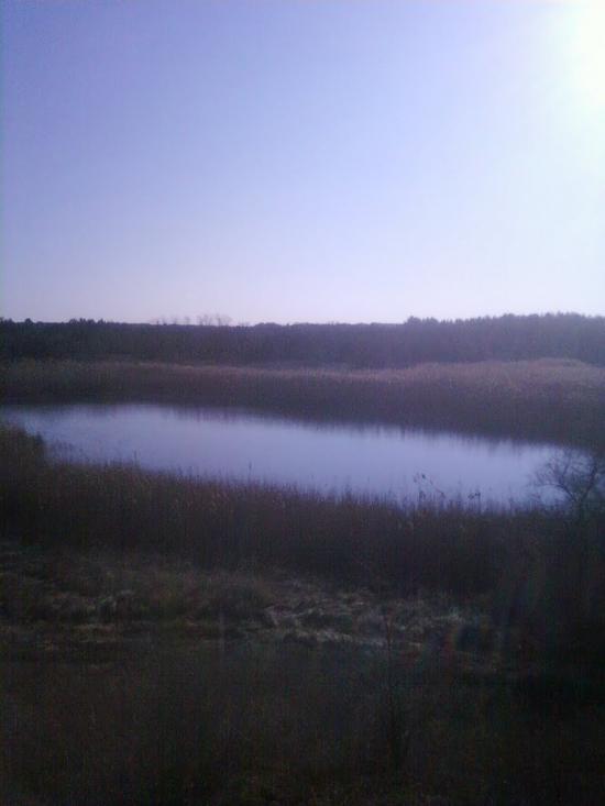 Раденськ з panoramio.com - Radensk