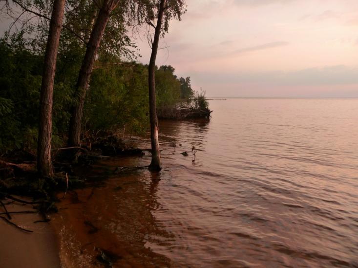 Ровжі з panoramio.com - Ровжи