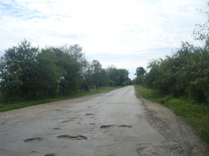 Ружичанка з panoramio.com - Ruzhychanka