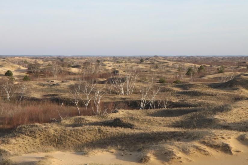 Козачі Лагері з panoramio.com - Козачие Лагеря