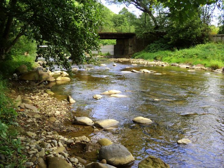 Солочин з panoramio.com - Солочин