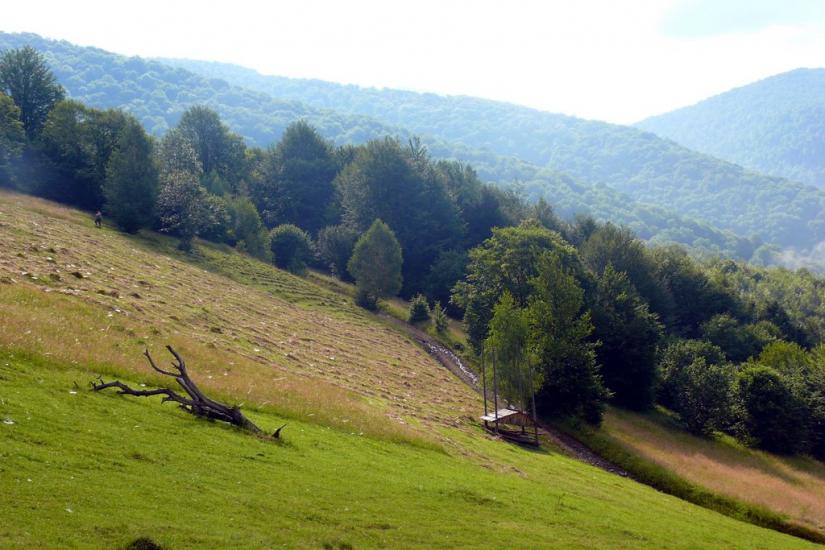 Кваси з panoramio.com - Квасы