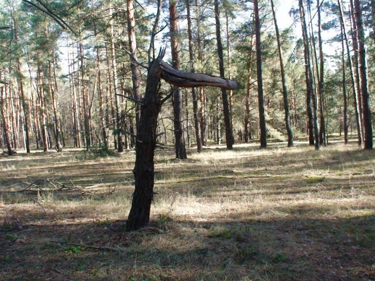 Торське з panoramio.com - Торське