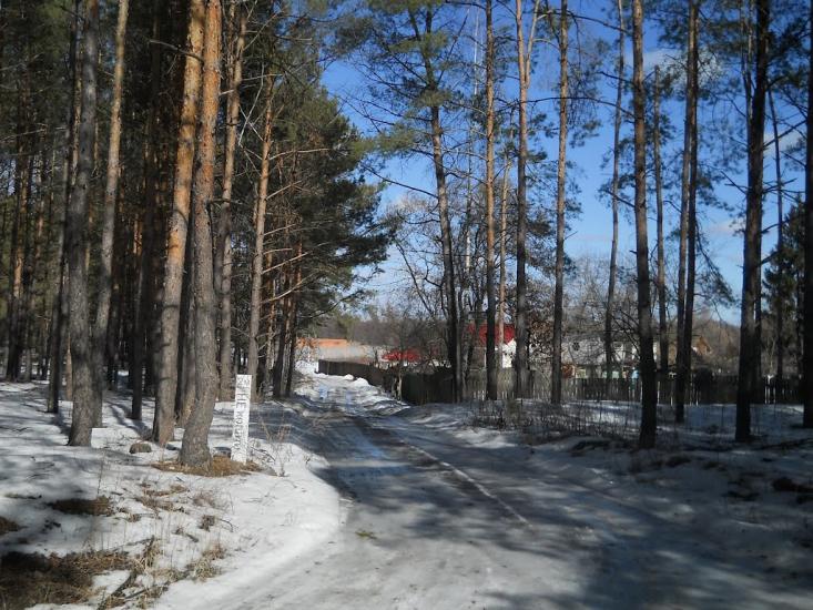 Проців з panoramio.com - Protsiv