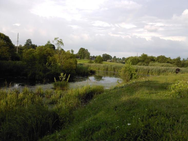 Базалія з panoramio.com - Базалия