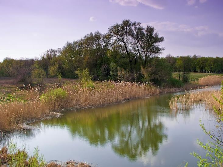 Черняки з panoramio.com - Черняки