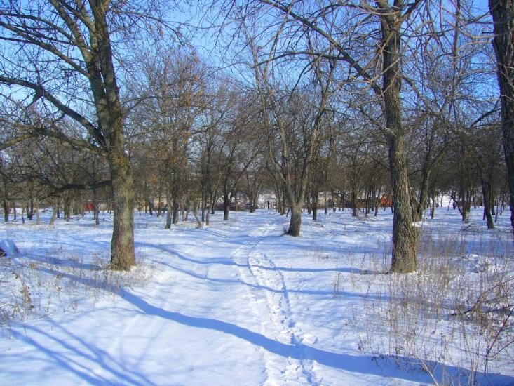 Вільноуланівське з panoramio.com - Вільноуланівське