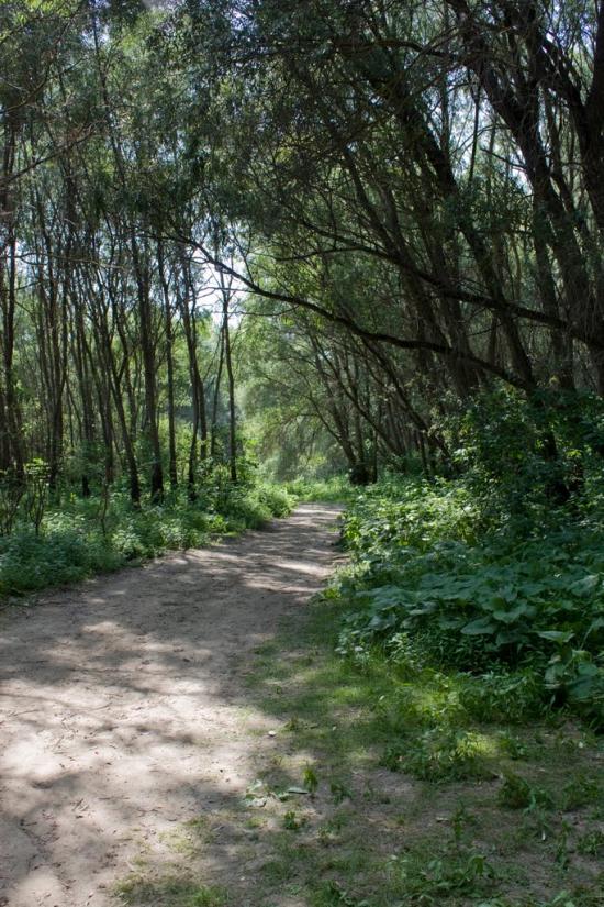Шестовиця з panoramio.com - Шестовица