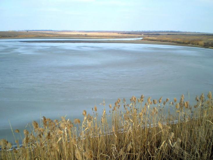 Розівка з panoramio.com - Розовка