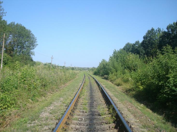 Панівці з panoramio.com - Panivtsi