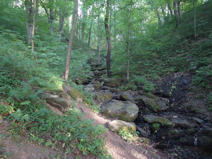 Губків з panoramio.com - Губків
