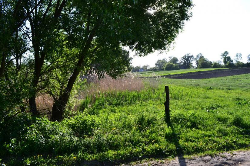 Меленці з panoramio.com - Меленці
