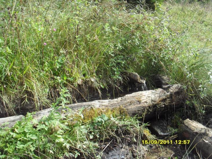 Орявчик з panoramio.com - Орявчик