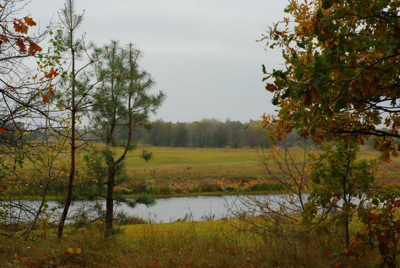 Остапівка з panoramio.com - Остаповка