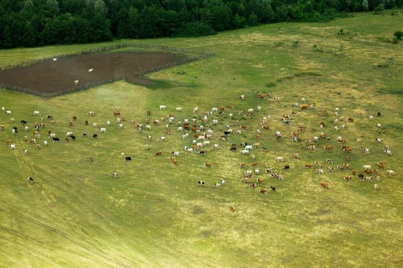 Баранівка з panoramio.com - Баранівка