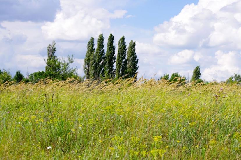 Клебан-Бик з panoramio.com - Клебан-Бык