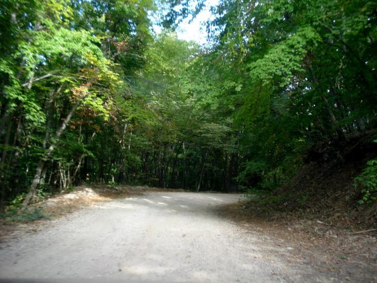 Багата Ущелина з panoramio.com - Bagata Uschelyna