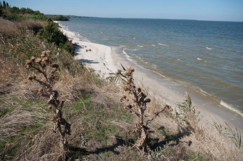 Балки з panoramio.com - Балки