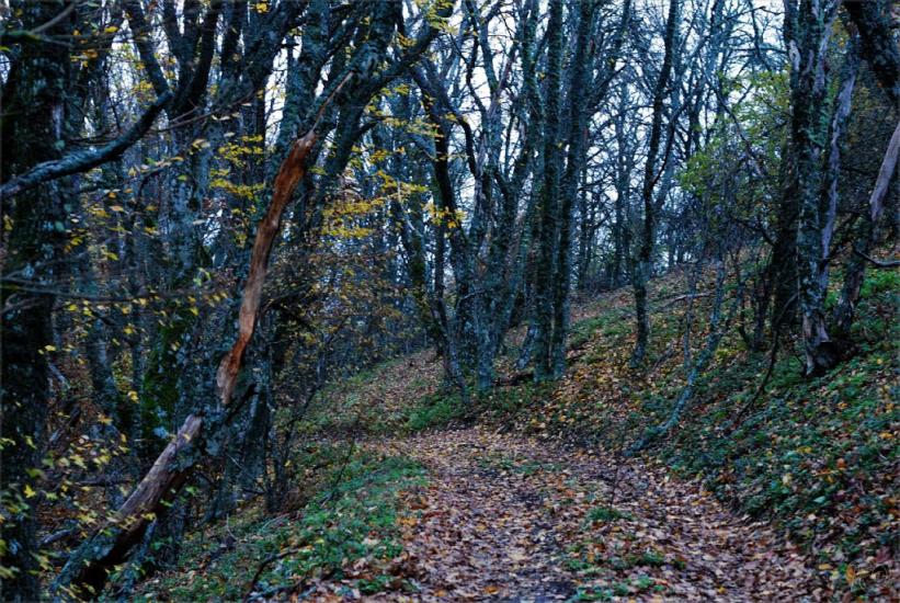 Громівка з panoramio.com - Громівка