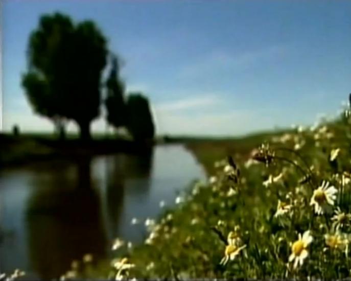 Білорічанське з panoramio.com - Білорічанське