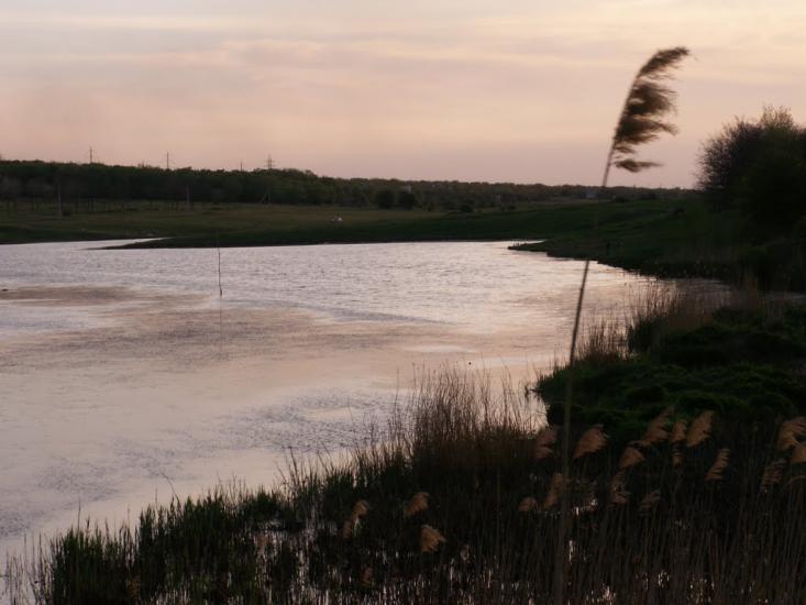 Вільнянськ з panoramio.com - Вольнянск