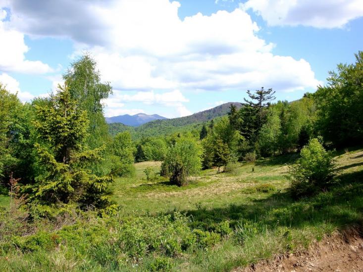 Люта з panoramio.com - Люта