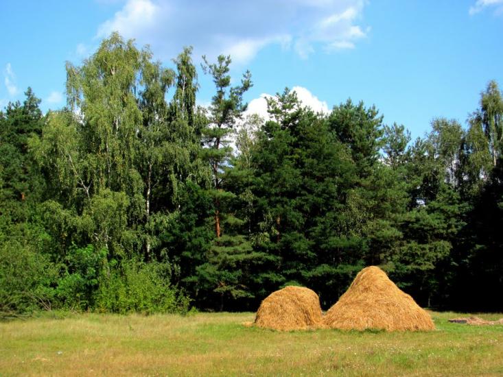 Старосілля з panoramio.com - Старосілля