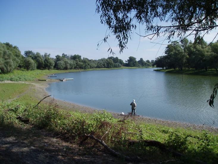 Брусилів з panoramio.com - Брусилов