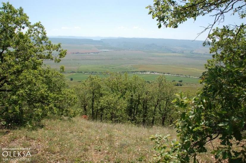 Холмівка з panoramio.com - Холмовка