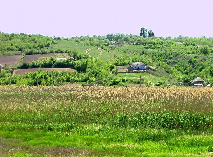 Дубове з panoramio.com - Дубовое