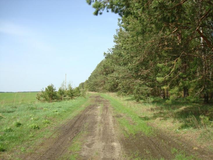 Вівчицьк з panoramio.com - Вовчицк