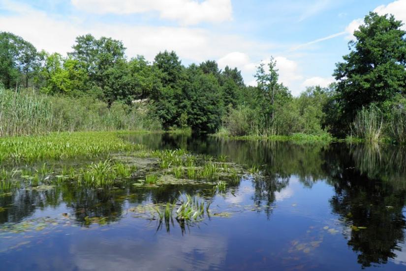 Бучин з panoramio.com - Бучин