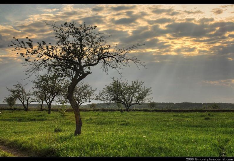 Жукин з panoramio.com - Zhukyn