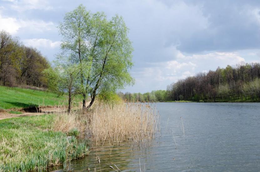 Польова з panoramio.com - Полевая