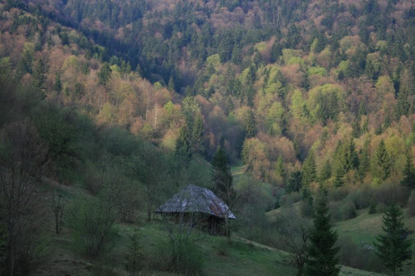 Стригальня з panoramio.com - Strygalnya